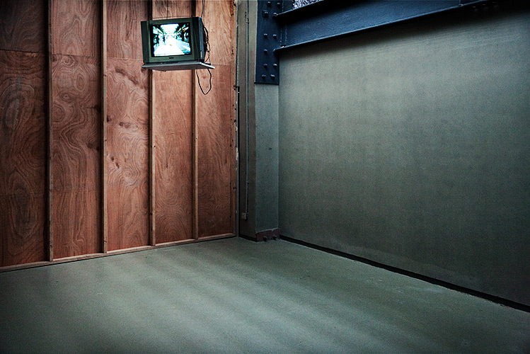 _Y111550_small