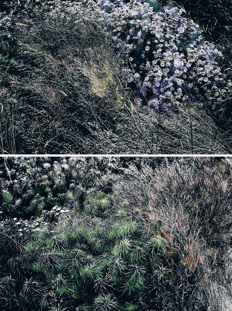 highline_greens_composite_small_F